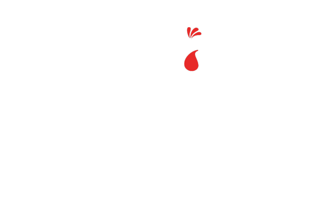 TORI TOKYO EBIS